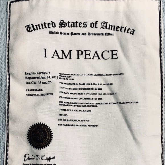 NWT- I am Peace, I am love Hoodie Baby Blue - Picture 3 of 5